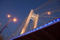 Basarab overpass the night Royalty Free Stock Photo
