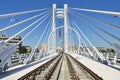 Basarab suspension bridge