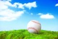 Base ball in green grass field Royalty Free Stock Photo