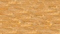 Base beige yellow trunk wood texture horizontal