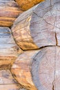 Base big log wall part of a rustic house of traditional construction close-up of natural material Royalty Free Stock Photo