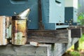 Honey bees react to the smoker next to a hive