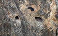 Base Jump after paragliding on the Dark Canyon