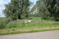 Base of a old windmill in Hitland, Netherlands