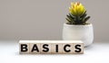 Base symbol. Concept of the word Basics on wooden cubes. Beautiful white background with cactus. Business and basics concept. Copy Royalty Free Stock Photo
