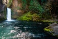 At the Base of Toketee Falls, North Umpqua River, Oregon Royalty Free Stock Photo