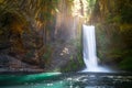 At the Base of Toketee Falls, North Umpqua River, Oregon Royalty Free Stock Photo