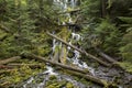 Base of Upper Proxy Falls Oregon Royalty Free Stock Photo