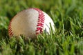 Baseball Royalty Free Stock Photo