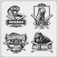 Baseball badges, labels and design elements. Sport club emblems with lion, cobra, raptor dinosaur and scorpion.