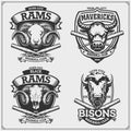 Baseball badges, labels and design elements. Sport club emblems with ram, bull and bison. Royalty Free Stock Photo