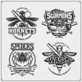 Baseball badges, labels and design elements. Sport club emblems with scorpion, wasp, hornet and spider. Print design for t-shirt.