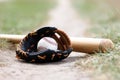 Baseball ball with glove and bat Royalty Free Stock Photo