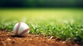 Baseball ball on green grass field with sunlight background and copy space Royalty Free Stock Photo