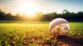 Baseball ball on green grass field with sunlight background and copy space Royalty Free Stock Photo