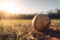 A baseball ball lies on the grass in the rays of the sun 1