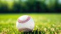 A baseball ball placed on natural grass. Baseball, sport concept