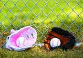 Baseball. Balls in Gloves on Green Grass. Female vs Male Royalty Free Stock Photo