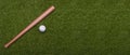 Baseball bat and ball on green grass field.  Sport theme background with copy space for text and advertisment Royalty Free Stock Photo