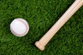 Baseball and bat on grass Royalty Free Stock Photo