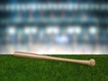 Baseball bat Royalty Free Stock Photo