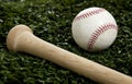 A baseball and Bat on Green Grass Royalty Free Stock Photo