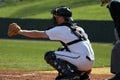 Baseball - catcher Royalty Free Stock Photo