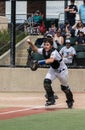 Baseball Catcher Action Royalty Free Stock Photo