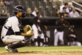 Baseball Catcher with Glove - Room for Copy Royalty Free Stock Photo