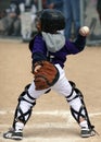 Baseball catcher throwing ball Royalty Free Stock Photo