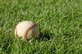 A baseball laying in the grass. Royalty Free Stock Photo