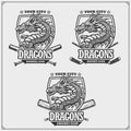 Baseball, cricket and hockey logos and labels. Sport club emblems with dragon. Print design for t-shirt. Royalty Free Stock Photo