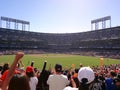 Baseball Fans in the bleachers put hands in the air as the cheer during game