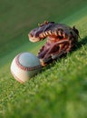 Baseball on the field