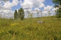 Baseball field becomes a weed patch Royalty Free Stock Photo