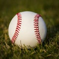 Baseball on the field. New white ball on green grass Royalty Free Stock Photo