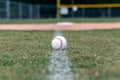 Baseball on foul line background Royalty Free Stock Photo