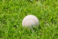 Baseball on the fresh green grass . Royalty Free Stock Photo