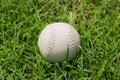Baseball on the fresh green grass . Royalty Free Stock Photo