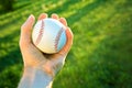Baseball game. Royalty Free Stock Photo