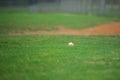 Baseball game, baseball ball siting on the grass on the diamond near the pitcher\'s mound during the ball game Royalty Free Stock Photo