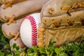 Baseball game mitt and ball Royalty Free Stock Photo