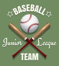 Baseball game team emblem