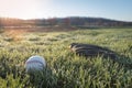 Baseball glove and ball on grass field in morning dew Royalty Free Stock Photo