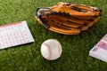 Baseball glove and ball near euro banknotes and betting list on green grass isolated on white Royalty Free Stock Photo