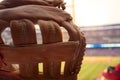 Baseball Glove at Baseball Game for Foul Ball Royalty Free Stock Photo