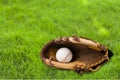 Baseball Glove Royalty Free Stock Photo