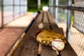 Baseball with glove on dugout bench with blurred background Royalty Free Stock Photo