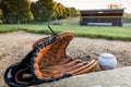 Baseball and glove on grass in morning dew early spring Royalty Free Stock Photo