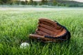 Baseball and glove on grass in morning dew early spring Royalty Free Stock Photo